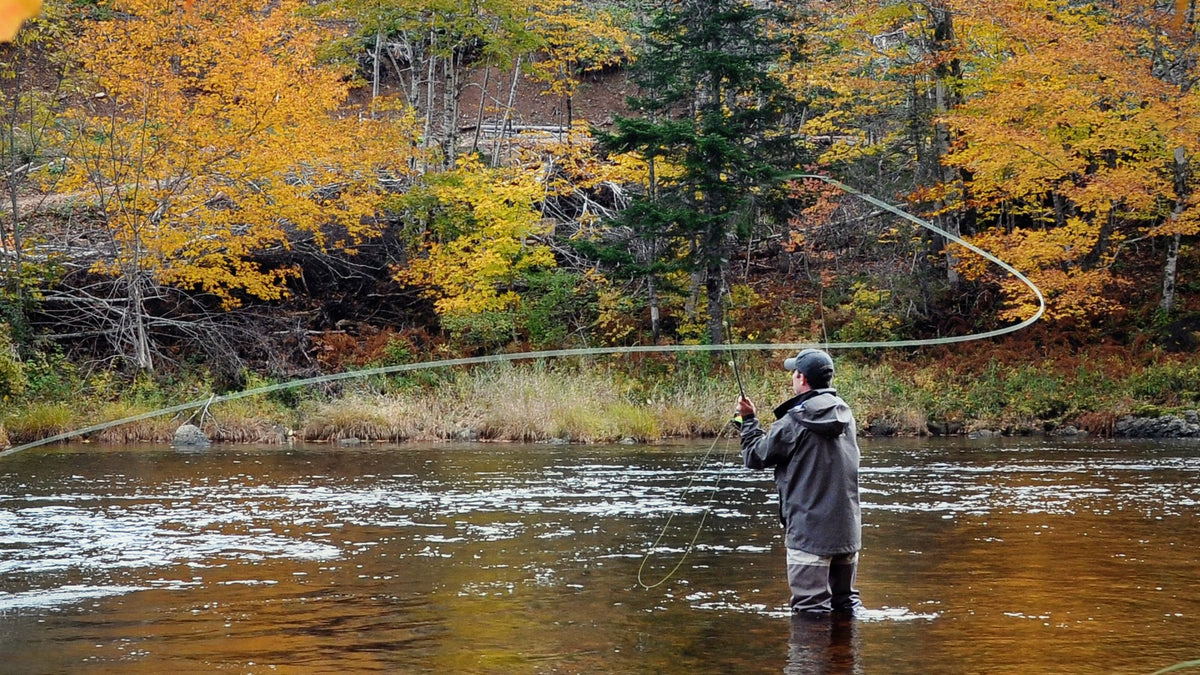Fly angler casting on a river with autumn trees